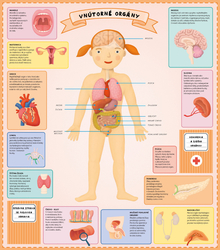 Atlas ľudského tela pre deti