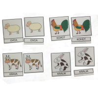 Trojzložkové karty - Zvieratá 1