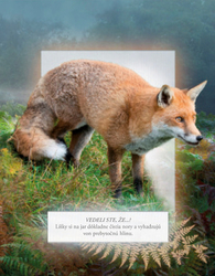 Zvieratá našich lesov - zvuková knižka